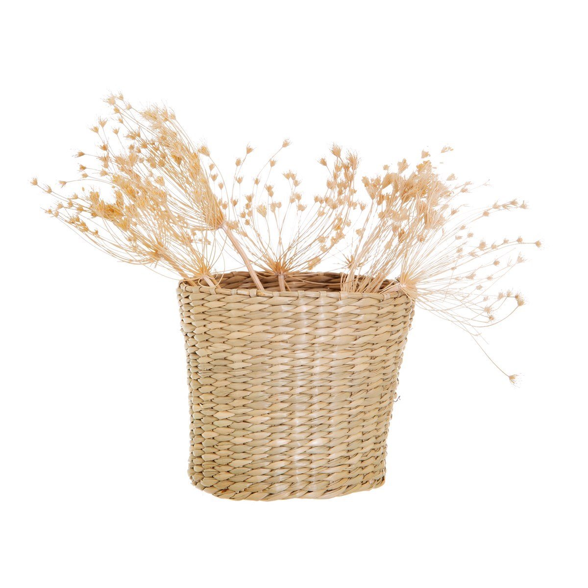Small Woven Seagrass Planter - a Cheeky Plant