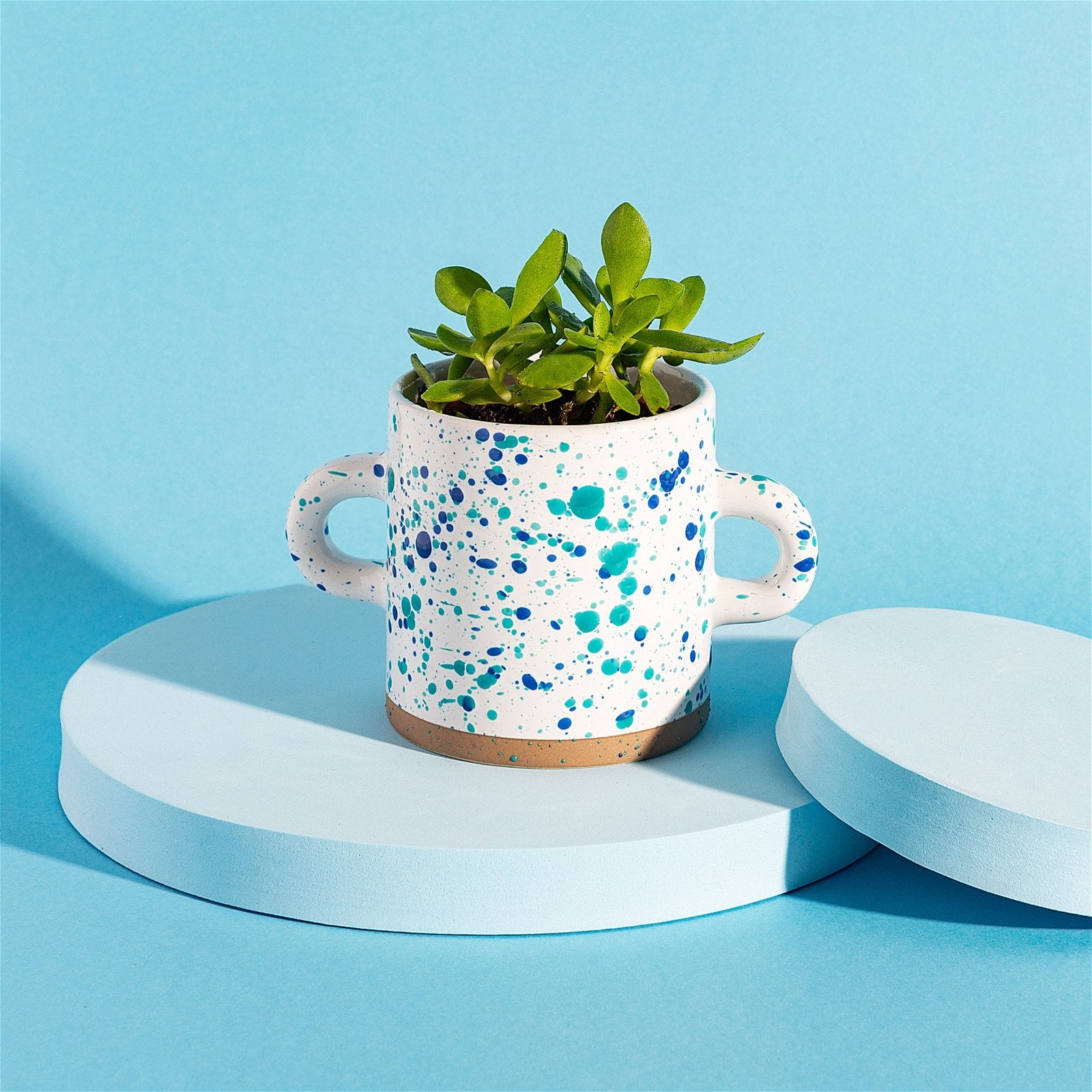Turquoise and Blue Splatterware Planter - a Cheeky Plant