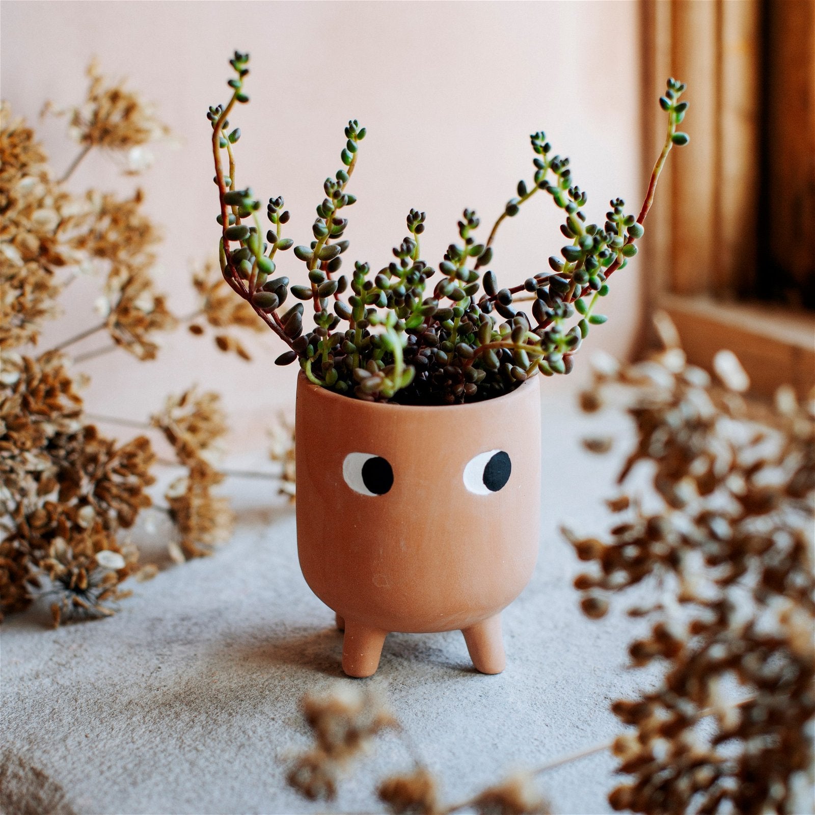 Little Leggy Terracotta Planter - a Cheeky Plant