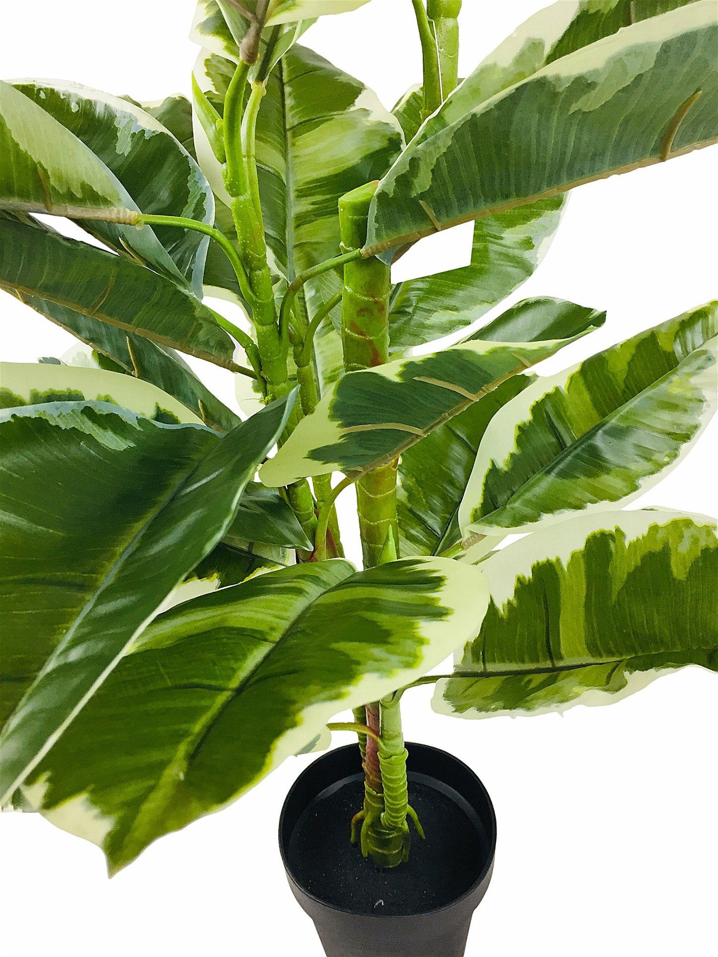 Artificial Large 110cm Rubber Ficus - a Cheeky Plant