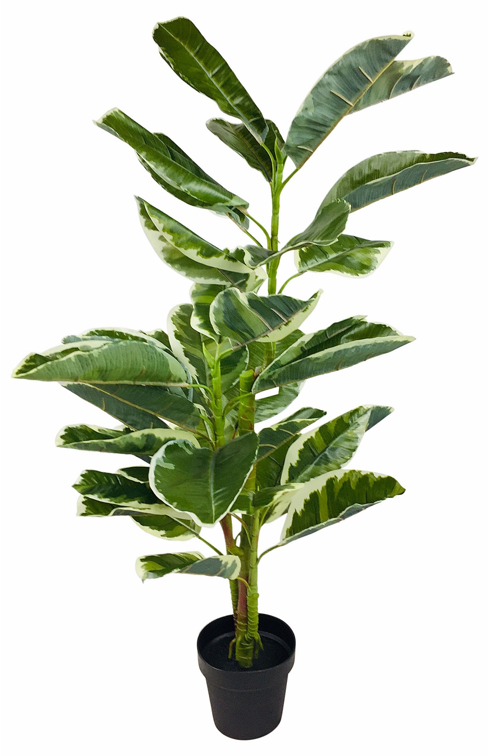 Artificial Large 110cm Rubber Ficus - a Cheeky Plant