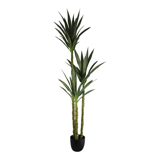 Artificial Triple Trunk Yucca Tree, 160cm - a Cheeky Plant