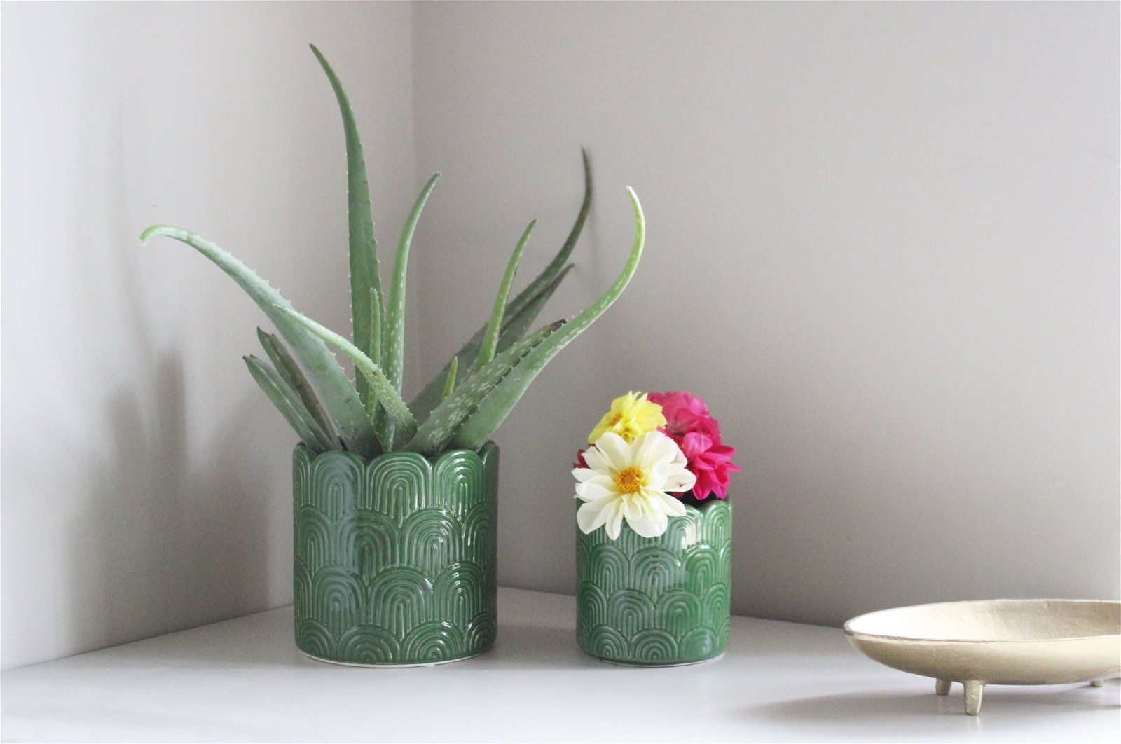 Set of Two Green Scalloped Planters - a Cheeky Plant