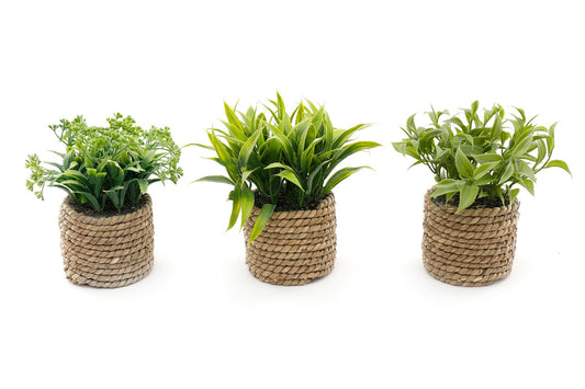 A Set Of Three Rope Effect Pots And Artificial Succulents - a Cheeky Plant