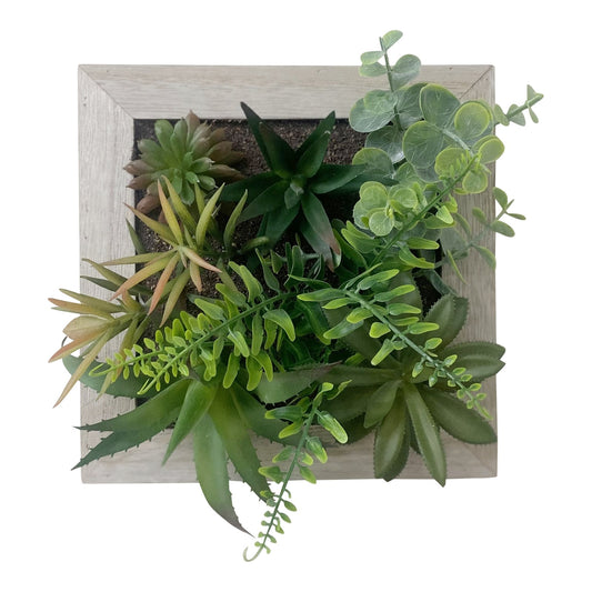 Artificial Succulents In Square Wooden Frame - a Cheeky Plant