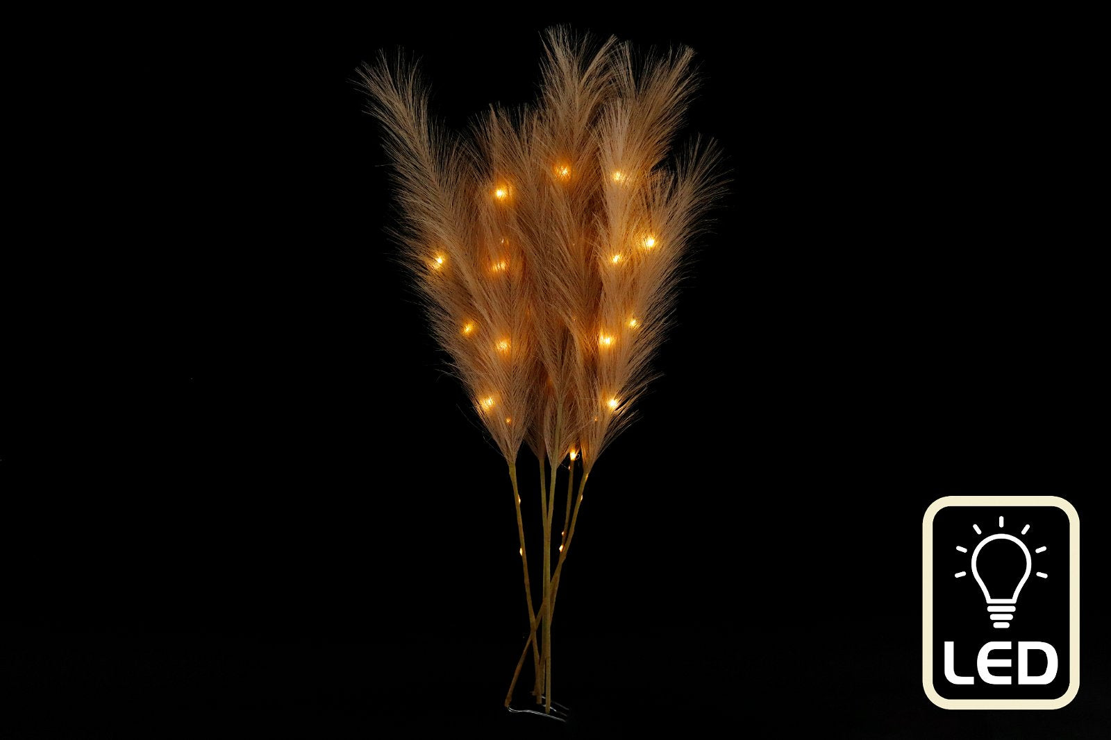 Set of Five Brown Led Pampas Grass Stems - a Cheeky Plant