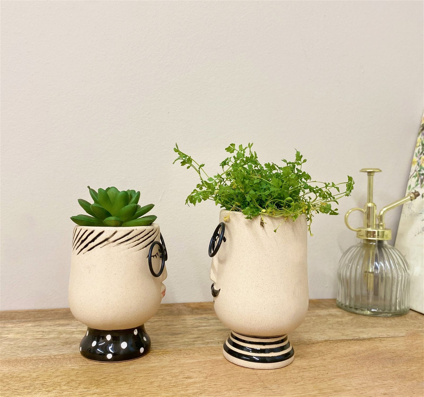Mr and Mrs Planters - a Cheeky Plant