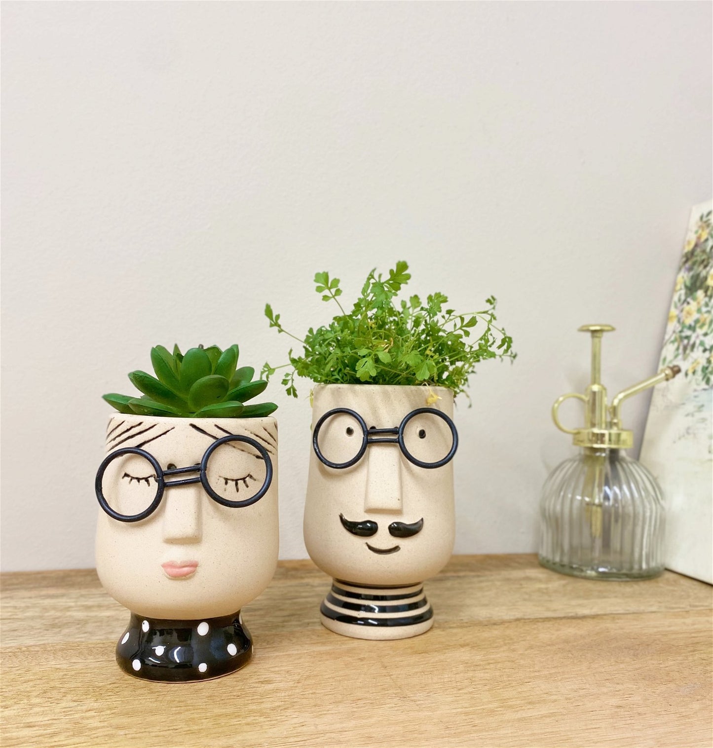 Mr and Mrs Planters - a Cheeky Plant