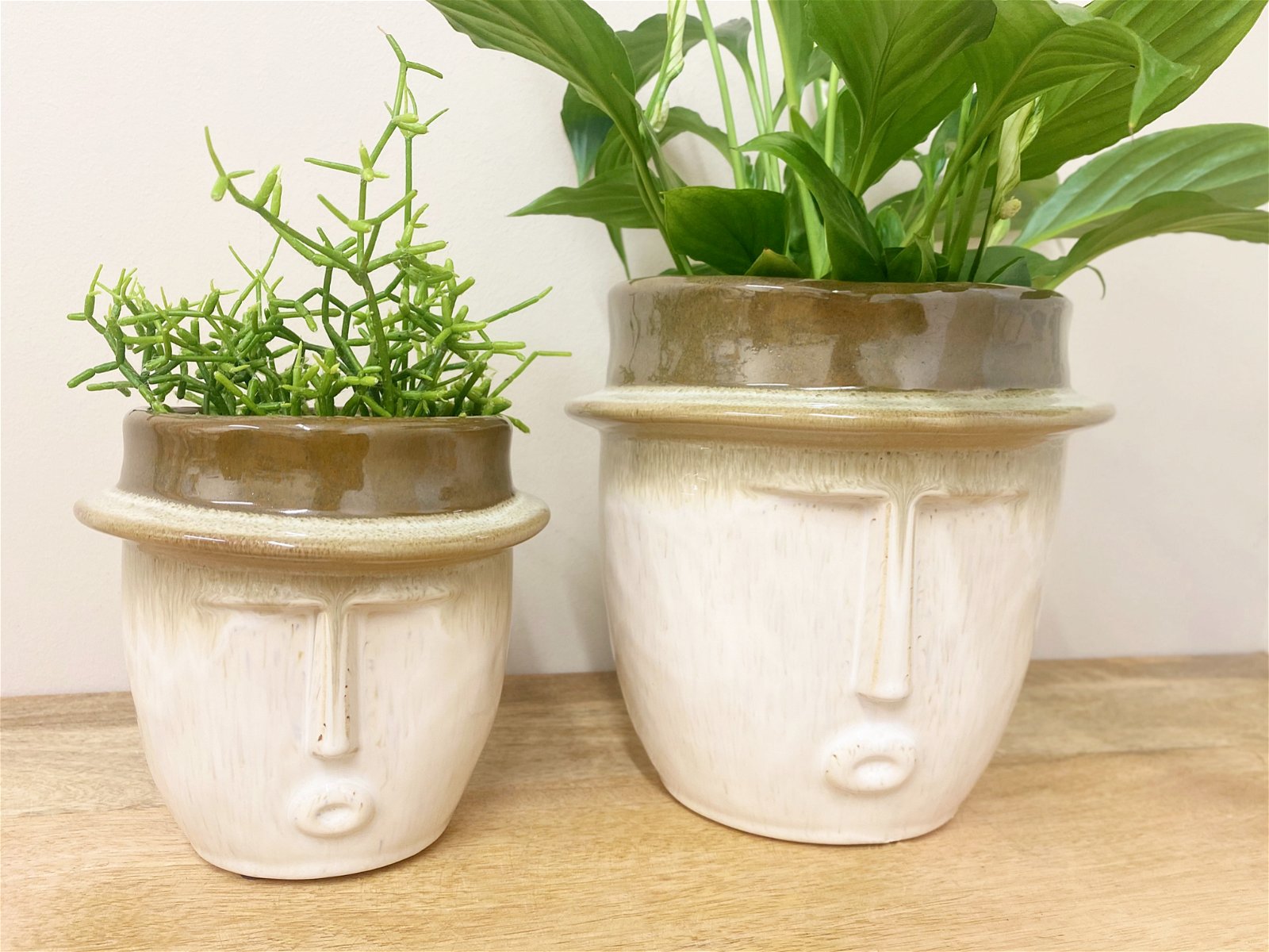 Set of Two Face Planters - a Cheeky Plant