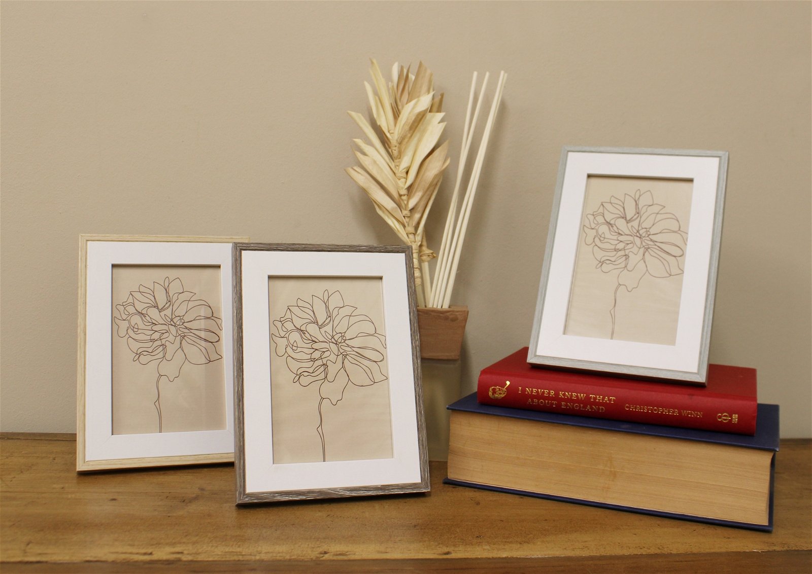 Set of Three Photo Frames with Wood Edge - a Cheeky Plant