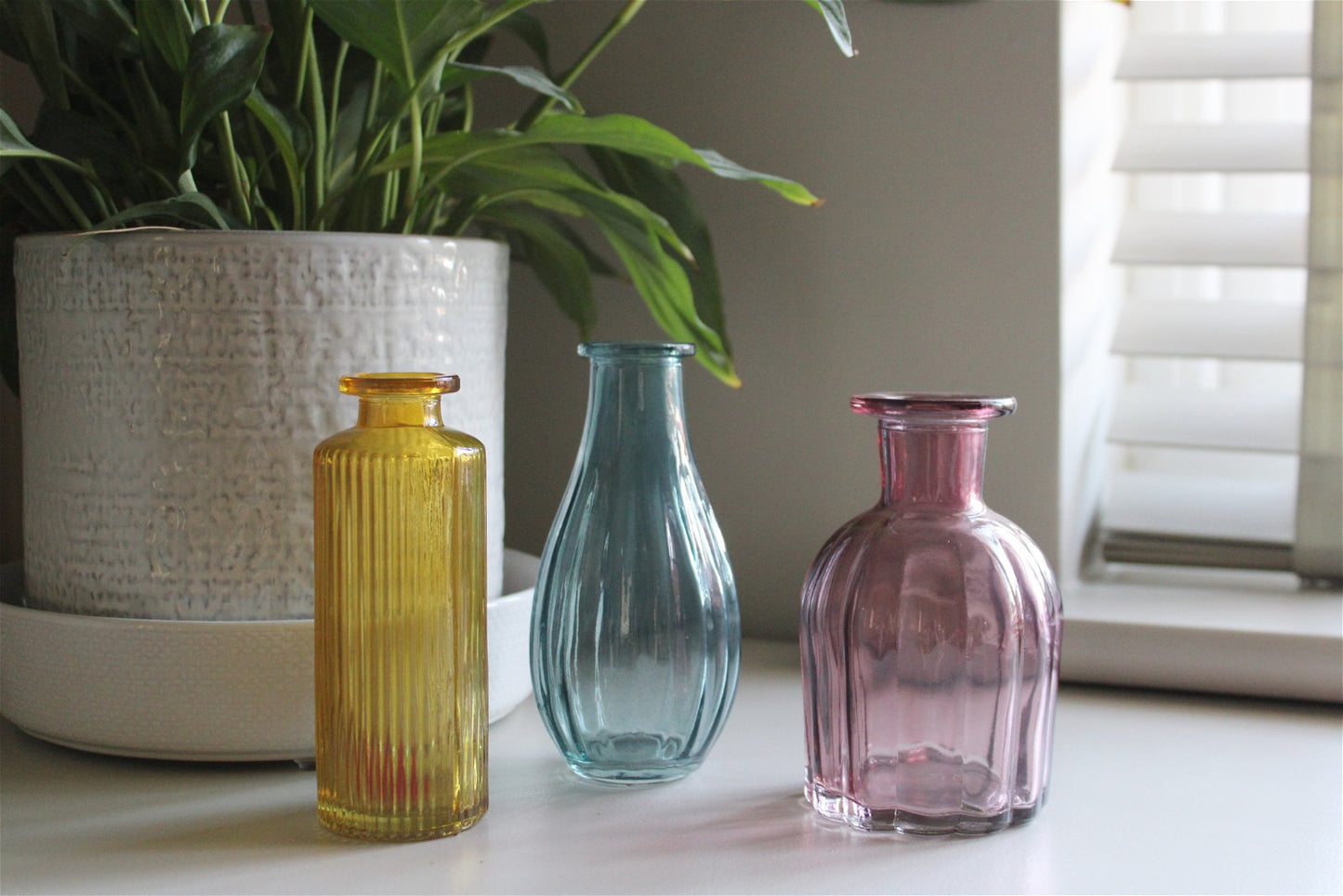 Set of Three Colour Glass Vases - a Cheeky Plant